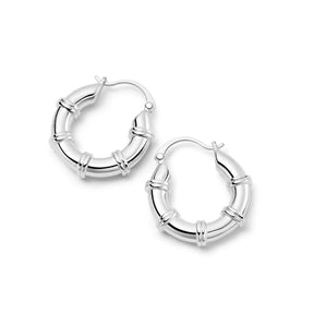 Women's Stainless Steel Hoop Earrings – Smooth, Chunky Round Huggie Jewelry - 20mm