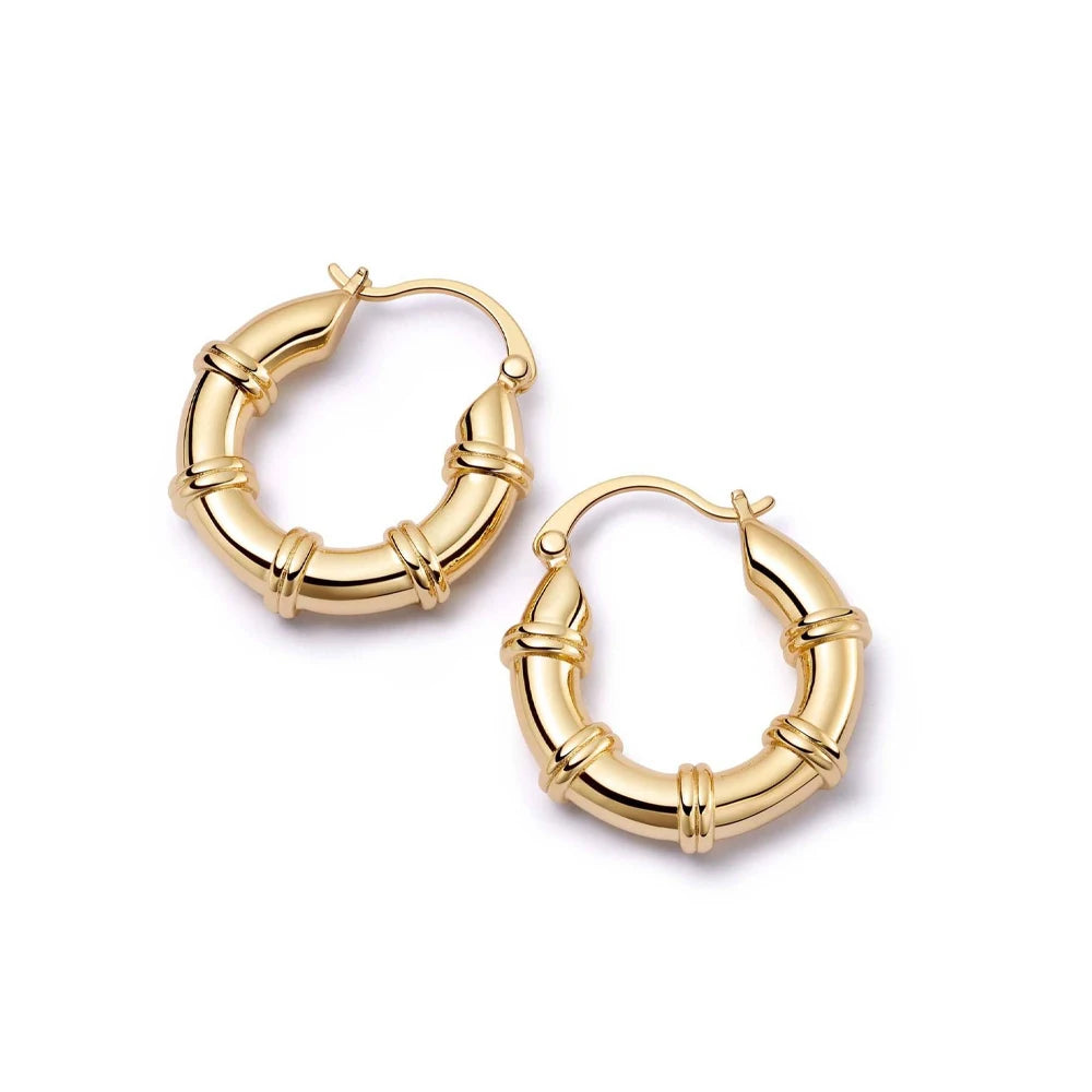 Women's Stainless Steel Hoop Earrings – Smooth, Chunky Round Huggie Jewelry - 20mm